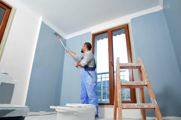 Best Water Damage & Mold Remediation  in Blue Rapids, KS