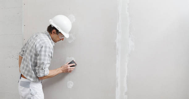 Best Crawl Space Mold Remediation  in Blue Rapids, KS