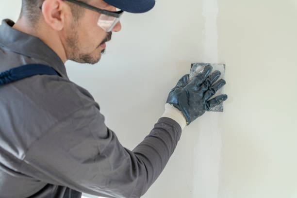 Best Mold Prevention Services  in Blue Rapids, KS