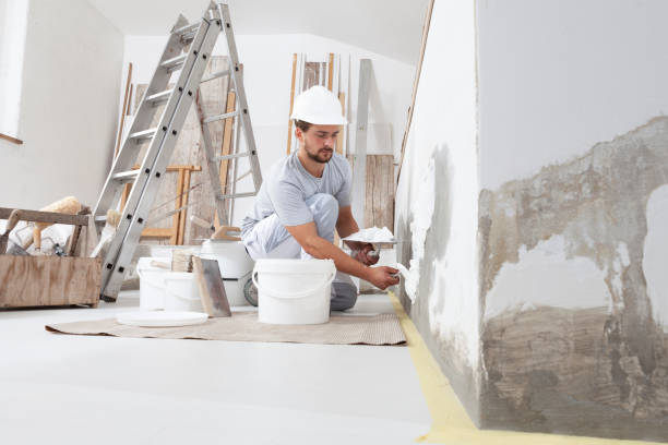 Best Comprehensive Air Testing for Mold Contaminants  in Blue Rapids, KS