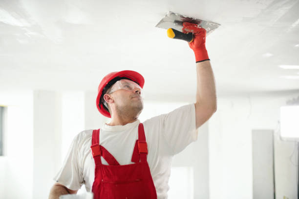 Best Forensic Mold Investigation  in Blue Rapids, KS