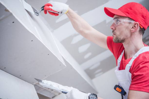 Reliable Blue Rapids, KS Mold Removal Solutions
